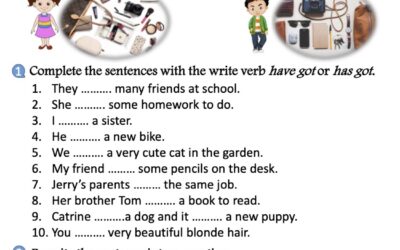 Verb HAVE GOT Present Simple