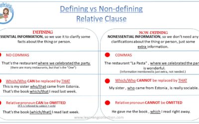 Defining vs. Non-defining Relative Clauses