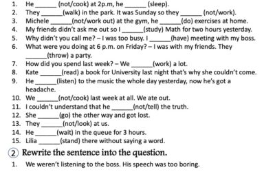 Past Continuous Tense 2