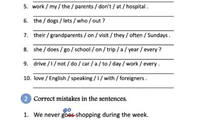 Present simple tense 2